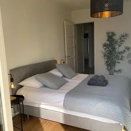 Beautifully Large In De Pijp!